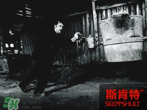 斯肯特是什么牌子 skeppshult是否瑞典產(chǎn) 斯肯特是什么牌子 skeppshult是否瑞典產(chǎn)