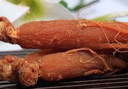 春天能吃紅參嗎？春天可以吃紅參嗎？