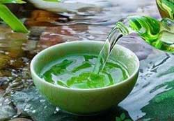 清明茶什么時(shí)候采？采清明茶什么時(shí)候結(jié)束？