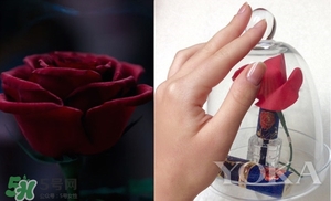 阿芙美女與野獸合作款有哪些？阿芙美女與野獸護(hù)膚品價(jià)格