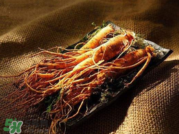 春天能吃高麗參嗎？春天可以喝高麗參湯嗎？