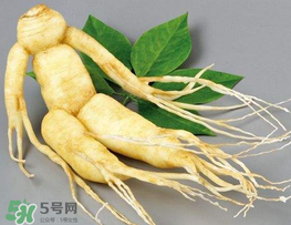 春天能吃高麗參嗎？春天可以喝高麗參湯嗎？