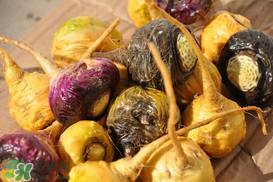 春天能吃瑪卡嗎？女人春天能吃瑪卡嗎？