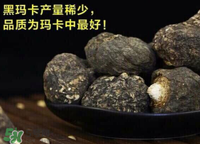 春天能吃瑪卡嗎？女人春天能吃瑪卡嗎？