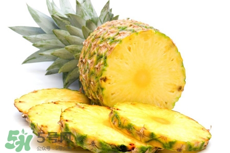 菠蘿可以榨汁嗎？菠蘿榨汁好喝嗎？