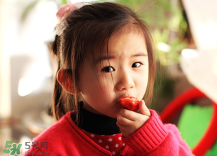 春天可以吃草莓嗎？春天吃草莓好嗎？