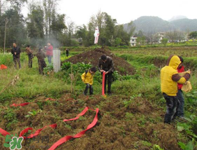 清明不過社是什么意思？清明不過社的社是哪天？