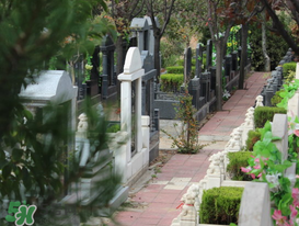 清明節(jié)過后掃墓行嗎？過了清明后還能掃墓嗎？