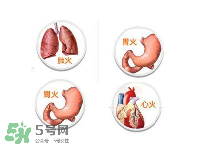 上火了喉嚨痛吃什么？上火了吃什么菜好？
