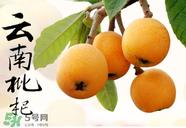 枇杷能放冰箱嗎？枇杷可以放冰箱保存嗎？