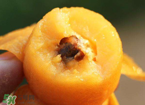 枇杷怎么保存？枇杷剝皮后怎樣保存？