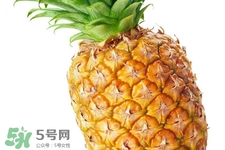 吃菠蘿太多會胃痛嗎？為什么吃菠蘿會胃痛？