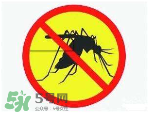 什么防蚊效果好？嬰兒用什么防蚊？