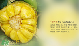 菠蘿蜜和榴蓮的區(qū)別 菠蘿蜜和榴蓮哪個好吃？