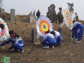 清明節(jié)穿什么衣服？清明節(jié)是適合穿什么衣服？