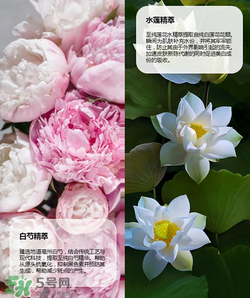 羽西丁一晨限定護(hù)膚品多少錢？羽西丁一晨限定價格