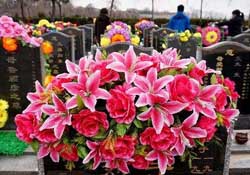 清明不過社是什么意思？清明不過社的社是哪天？