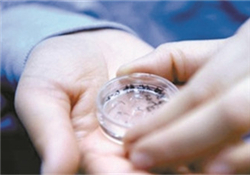 凍卵是什么？凍卵子需要多少錢？