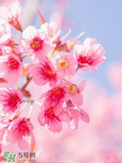 歐萊雅美女與野獸指甲油多少錢？歐萊雅美女與野獸指甲油試色