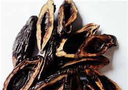 檳榔為什么會上癮？檳榔上癮怎么戒？