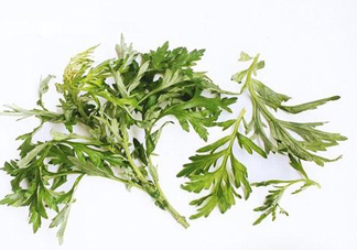 艾草可以治痛經(jīng)嗎？艾草能治月經(jīng)不調(diào)嗎？