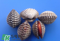 泥蚶怎么讀？泥蚶做法