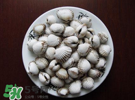 泥蚶怎么讀？泥蚶做法