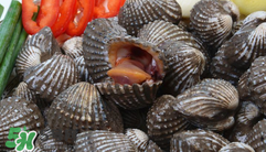 泥蚶怎么讀？泥蚶做法