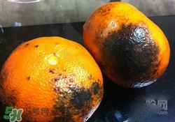 烤橘子怎么烤？烤橘子用什么火烤？