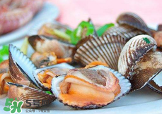 泥蚶怎么保存？泥蚶的保存方法