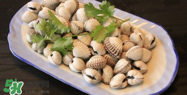 泥蚶怎么保存？泥蚶的保存方法