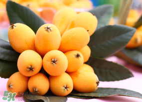 枇杷多少錢一斤？2017年枇杷多少錢一斤？