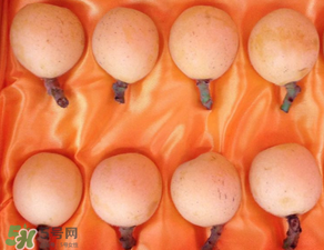 糖尿病能吃枇杷嗎？糖尿病人能吃枇杷嗎？