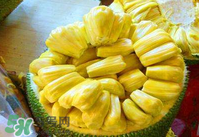 菠蘿蜜怎么吃？菠蘿蜜好吃嗎？