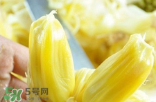 菠蘿蜜怎么吃？菠蘿蜜好吃嗎？