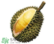 榴蓮可以和酸奶一起吃嗎？吃榴蓮喝酸奶會(huì)中毒嗎？