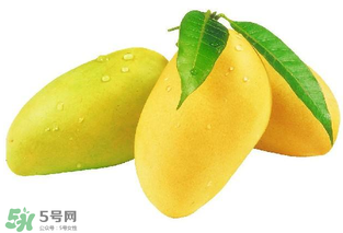 芒果哪里的最好吃？芒果哪種品種好吃？