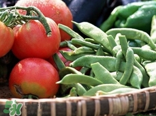 猩紅熱吃什么藥好得快?得了猩紅熱要吃什么藥? 猩紅熱吃什么藥好得快?得了猩紅熱要吃什么藥?