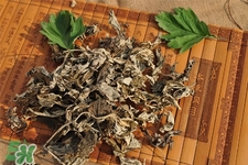 艾草會(huì)導(dǎo)致流產(chǎn)嗎？艾草到底保胎還是流產(chǎn)？