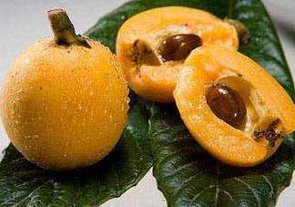 枇杷和菠蘿能一起吃嗎？菠蘿和枇杷一起吃會中毒嗎？