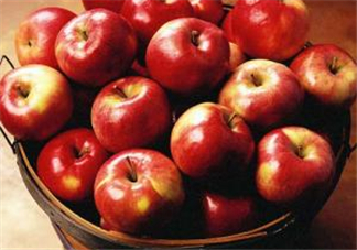 天天吃蘋果能減肥嗎？天天吃蘋果對(duì)皮膚好嗎？