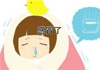 為什么總是感冒？總是感冒怎么回事？
