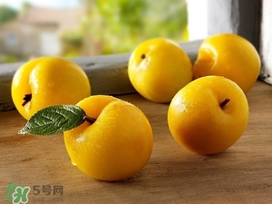 孕婦能吃李子嗎 李子孕婦能不能吃 孕婦能吃李子嗎 李子孕婦能不能吃