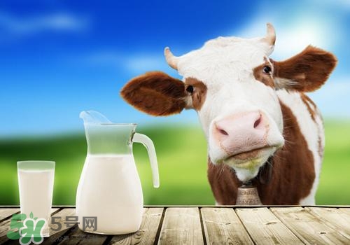 牛奶苦是怎么回事？牛奶苦能喝嗎？