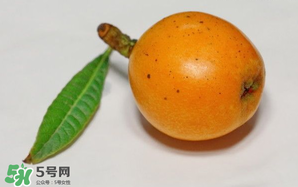 枇杷可以和蔥一起煮嗎？蔥和枇杷葉一起煮可以喝嗎？