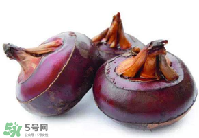 枇杷可以和荸薺一起煮水嗎？枇杷和荸薺能一起吃嗎？