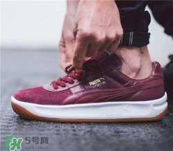 運(yùn)動(dòng)鞋哪個(gè)品牌好？運(yùn)動(dòng)鞋品牌十大排行榜