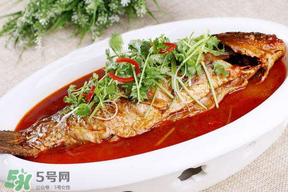 枇杷和魚(yú)能一起吃嗎？吃完魚(yú)可以吃枇杷嗎？