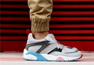 puma大白鯊怎么看真假？彪馬大白鯊真假辨別