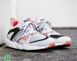 puma大白鯊正品多少錢？彪馬大白鯊價格